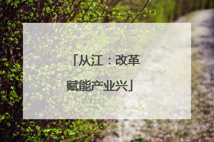从江：改革赋能产业兴
