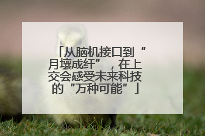 从脑机接口到“月壤成纤”，在上交会感受未来科技的“万种可能”