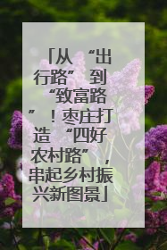 从 “出行路” 到 “致富路”！枣庄打造 “四好农村路”，串起乡村振兴新图景