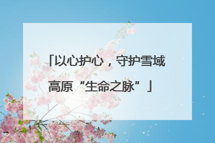 以心护心，守护雪域高原“生命之脉”