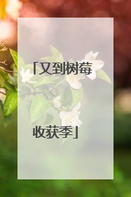 又到树莓收获季