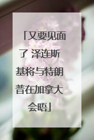 又要见面了 泽连斯基将与特朗普在加拿大会晤