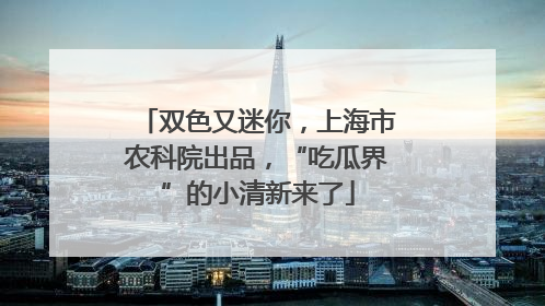 双色又迷你，上海市农科院出品，“吃瓜界”的小清新来了