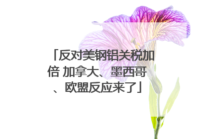 反对美钢铝关税加倍 加拿大、墨西哥、欧盟反应来了