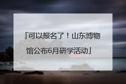 可以报名了！山东博物馆公布6月研学活动