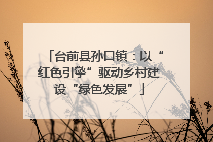 台前县孙口镇：以“红色引擎”驱动乡村建设“绿色发展”