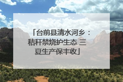 台前县清水河乡：秸秆禁烧护生态 三夏生产保丰收