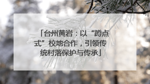台州黄岩：以“蹲点式”校地合作，引领传统村落保护与传承