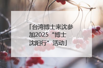 台湾博士来沈参加2025“博士沈阳行”活动