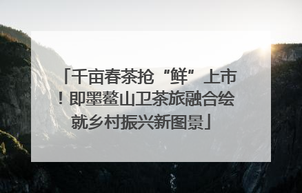 千亩春茶抢“鲜”上市！即墨鳌山卫茶旅融合绘就乡村振兴新图景