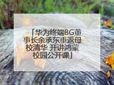 华为终端BG董事长余承东重返母校清华 开讲鸿蒙校园公开课