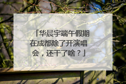 华晨宇端午假期在成都除了开演唱会，还干了啥？