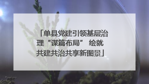 单县党建引领基层治理“谋篇布局” 绘就共建共治共享新图景