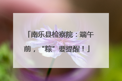 南乐县检察院：端午前，“粽”要提醒！