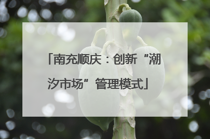 南充顺庆：创新“潮汐市场”管理模式