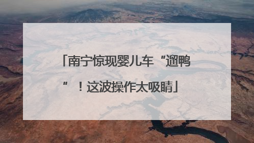 南宁惊现婴儿车“遛鸭”！这波操作太吸睛