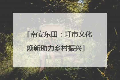 南安东田：圩市文化焕新助力乡村振兴