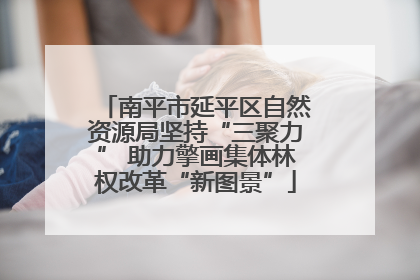 南平市延平区自然资源局坚持“三聚力” 助力擎画集体林权改革“新图景”