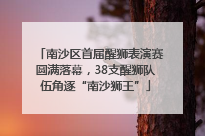 南沙区首届醒狮表演赛圆满落幕，38支醒狮队伍角逐“南沙狮王”