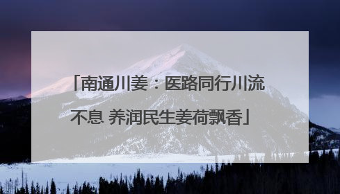 南通川姜：医路同行川流不息 养润民生姜荷飘香