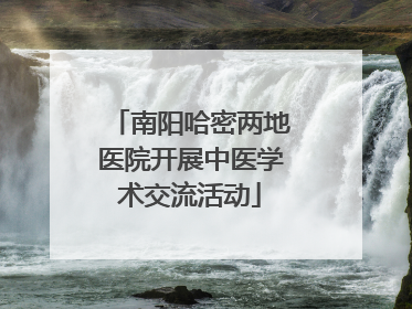南阳哈密两地医院开展中医学术交流活动