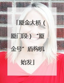 厦金大桥（厦门段）“厦金号”盾构机始发