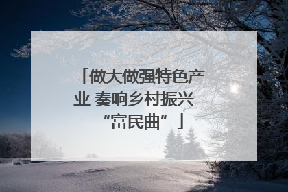 做大做强特色产业 奏响乡村振兴“富民曲”