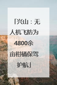 兴山：无人机飞防为4800余亩柑橘保驾护航