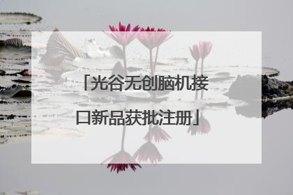 光谷无创脑机接口新品获批注册