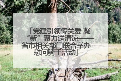 党建引领传关爱 凝“新”聚力送清凉——省市相关部门联合举办慰问骑手活动