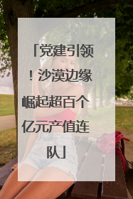 党建引领！沙漠边缘崛起超百个亿元产值连队