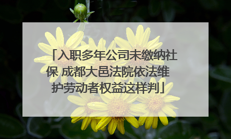 入职多年公司未缴纳社保 成都大邑法院依法维护劳动者权益这样判