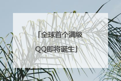 全球首个满级QQ即将诞生