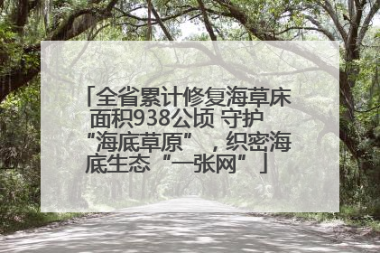 全省累计修复海草床面积938公顷 守护“海底草原”，织密海底生态“一张网”