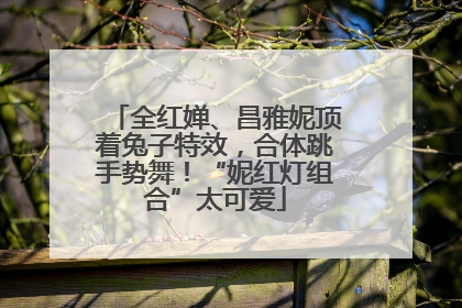 全红婵、昌雅妮顶着兔子特效，合体跳手势舞！“妮红灯组合”太可爱