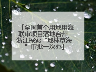 全国首个用地用海联审项目落地台州 浙江探索“地林草海”审批一次办