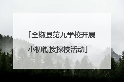 全椒县第九学校开展小初衔接探校活动