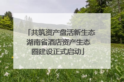 共筑资产盘活新生态 湖南省酒店资产生态圈建设正式启动