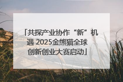 共探产业协作“新”机遇 2025金熊猫全球创新创业大赛启动