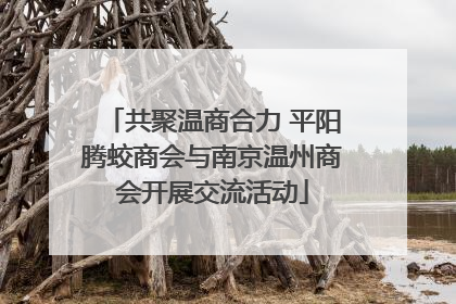 共聚温商合力 平阳腾蛟商会与南京温州商会开展交流活动