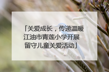 关爱成长，传递温暖 江油市青莲小学开展留守儿童关爱活动