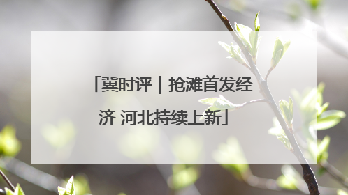 冀时评｜抢滩首发经济 河北持续上新