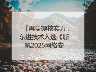 再显硬核实力，东进技术入选《嘶吼2025网络安全产业图谱》