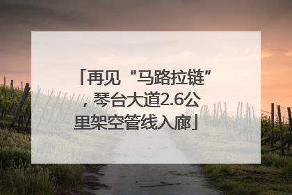 再见“马路拉链”，琴台大道2.6公里架空管线入廊