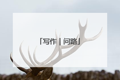 写作｜问路