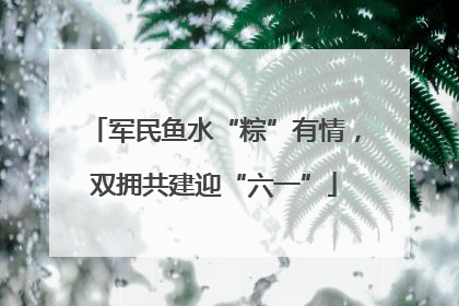 军民鱼水“粽”有情，双拥共建迎“六一”