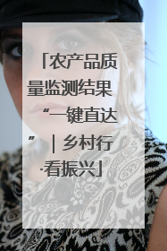 农产品质量监测结果“一键直达”｜乡村行·看振兴