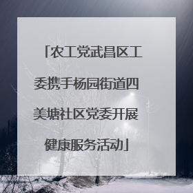 农工党武昌区工委携手杨园街道四美塘社区党委开展健康服务活动