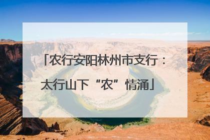 农行安阳林州市支行：太行山下“农”情涌