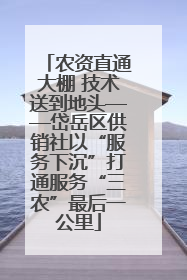 农资直通大棚 技术送到地头——岱岳区供销社以“服务下沉”打通服务“三农”最后一公里